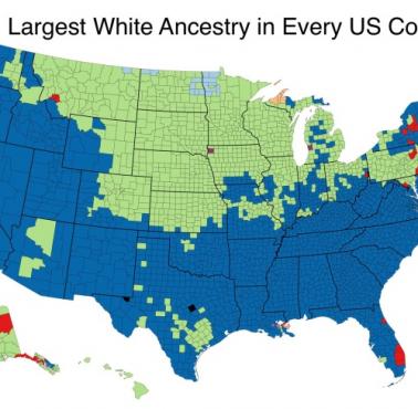 Najwięcej białych przodków w każdym hrabstwie USA, 2020
