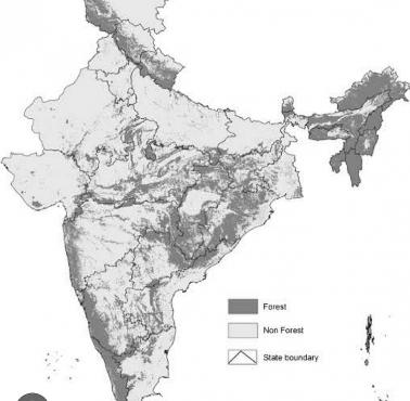 Zalesienie (lesistość) Indii
