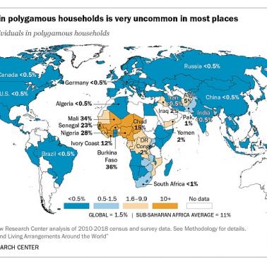 Odsetek osób żyjących w poligamicznym gospodarstwie domowym w poszczególnych krajach, 2010-2018