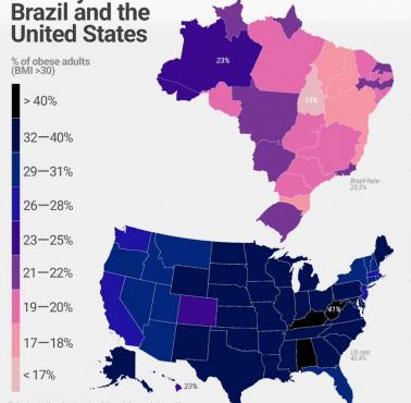 Współczynnik otyłości w Brazylii vs. USA, 2020