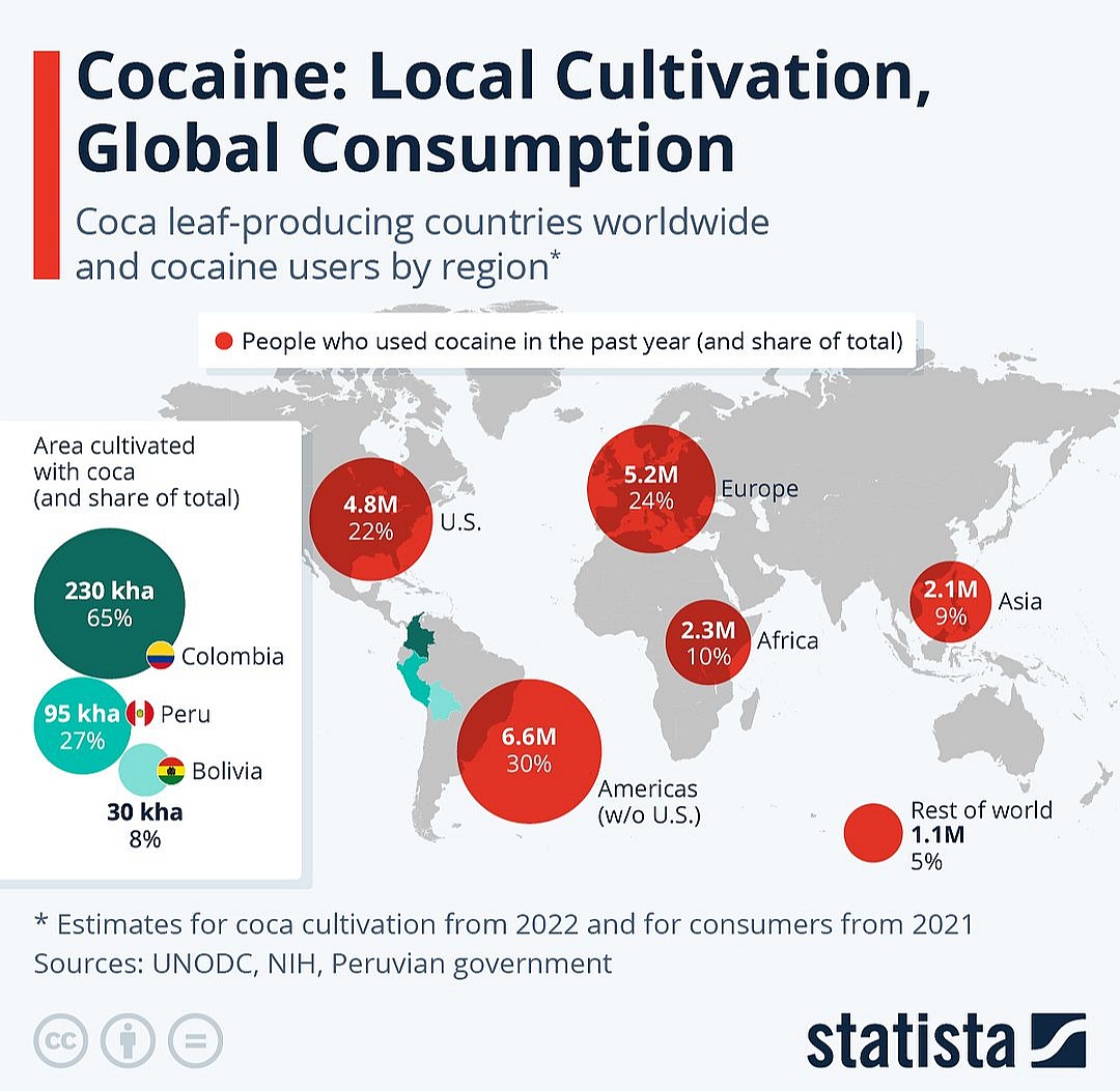 Najwięksi konsumenci i producenci kokainy, 2022