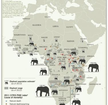Liczebność słoni w Afryce, 2013
