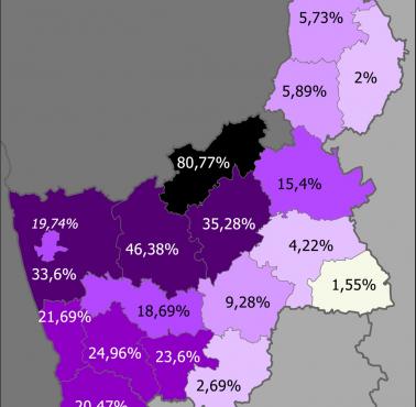 Odsetek etnicznych Polaków w obwodzie grodzieńskim na Białorusi (stan na 2009 r.)