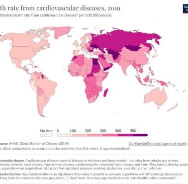 Współczynnik zgonów z powodu chorób układu krążenia na 100 tys. mieszkańców, 2019