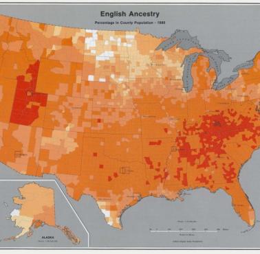 Angielskie pochodzenie w USA w 1980 roku