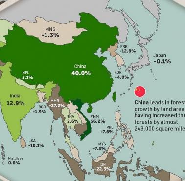Powierzchnia lasów w Chinach zwiększyła się o 40% w ciągu ostatnich 30 lat
