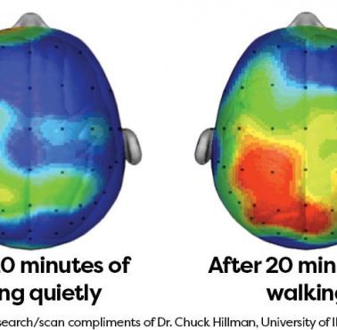 Dlaczego warto spacerować i to najlepiej dynamicznie?