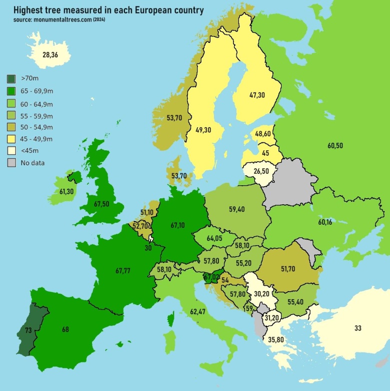 Najwyższe drzewo zmierzone w każdym kraju europejskim, stan na 2024