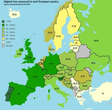 Najwyższe drzewo zmierzone w każdym kraju europejskim, stan na 2024