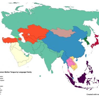 Mapa językowa Azji Południowej i Wschodniej (rodziny językowe)