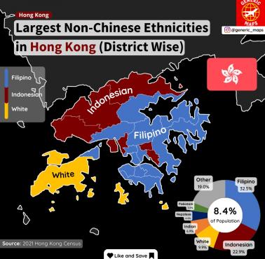 Największe niechińskie grupy etniczne w Hongkongu (według dzielnic), 2021