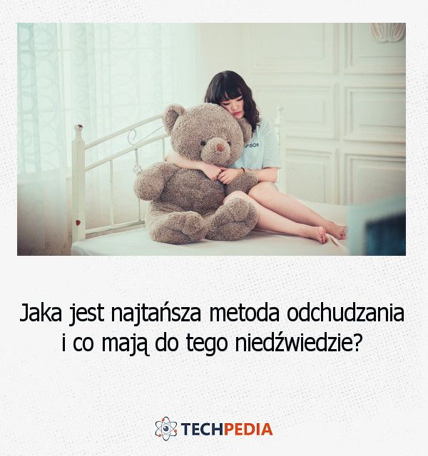 Jaka jest najtańsza metoda odchudzania i co mają do tego niedźwiedzie?