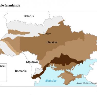 Gdzie występują najcenniejsze ziemie uprawne (czarnoziemy) na Ukrainie