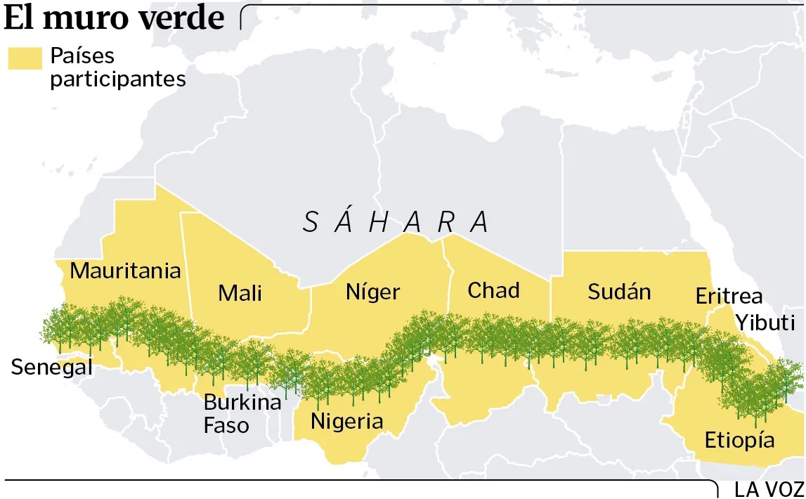 Dzięki globalnemu ociepleniu Sahara się zieleni. Unia Afrykańska prowadzi inicjatywę zasadzenia Wielkiego Zielonego Muru 7775 km