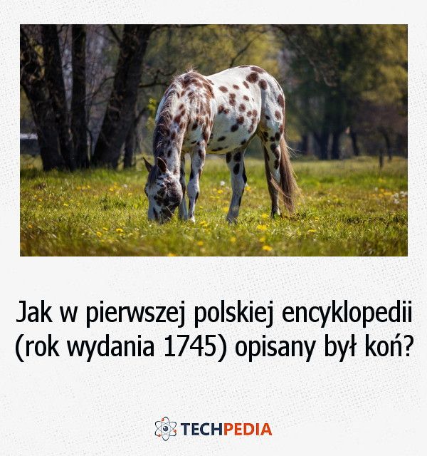 Jak w pierwszej polskiej encyklopedii (rok wydania 1745) opisany był koń?