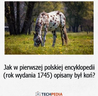 Jak w pierwszej polskiej encyklopedii (rok wydania 1745) opisany był koń?