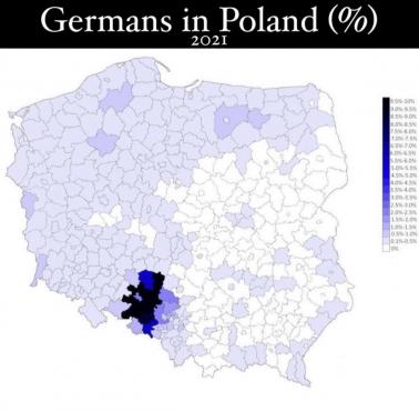 Mniejszość niemiecka w Polsce z podziałem na powiaty, 2021