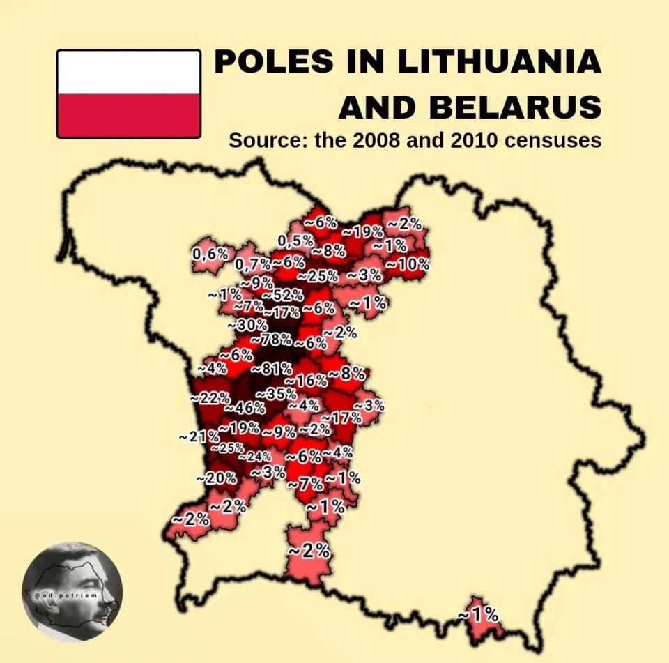 Polacy na Litwie i Białorusi 2008, 2010