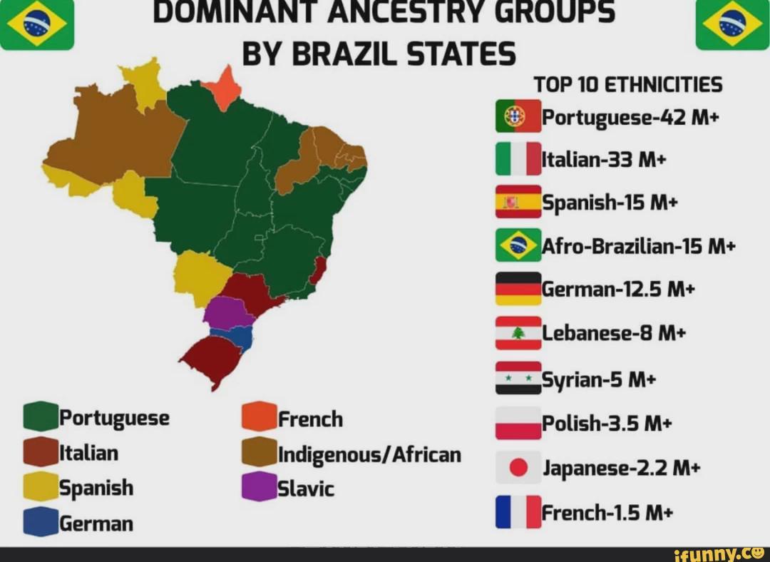 Dominujące grupy przodków według stanów w Brazylii
