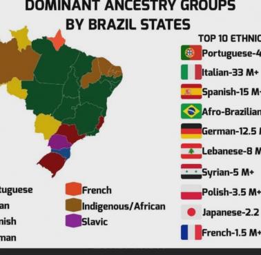 Dominujące grupy przodków według stanów w Brazylii