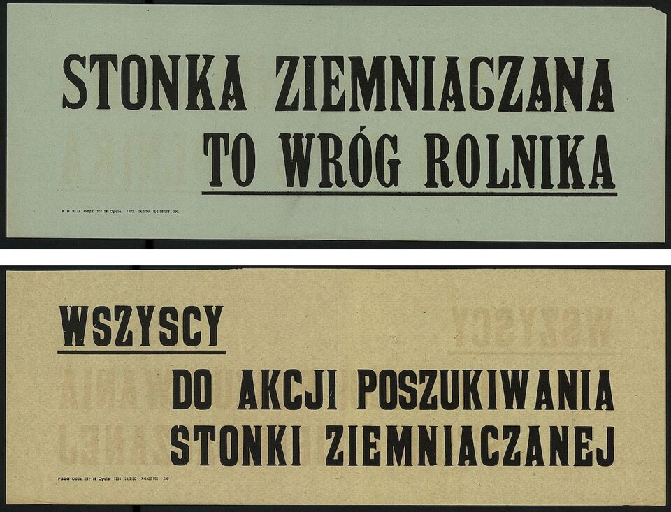 1 czerwca 1950 roku na łamach „Trybuny Ludu” - walka z imperialistyczną stonką :)