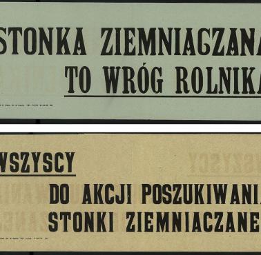1 czerwca 1950 roku na łamach „Trybuny Ludu”  - walka z imperialistyczną stonką :)