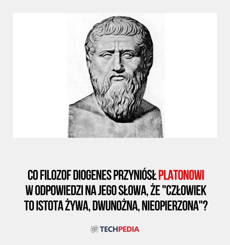 Co filozof Diogenes przyniósł Platonowi w odpowiedzi na jego słowa, że 