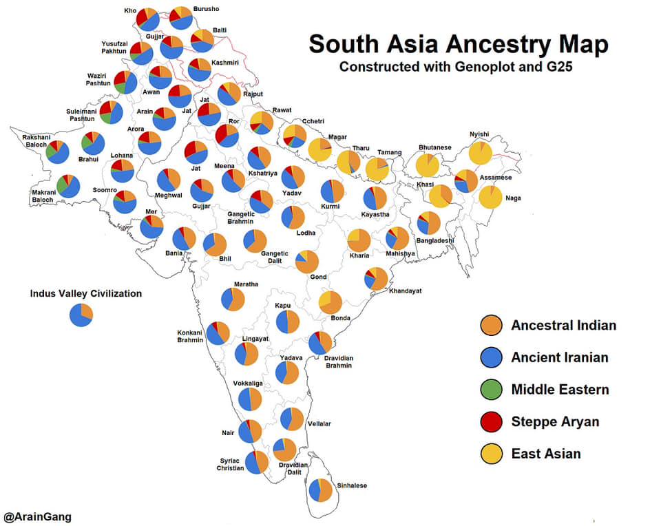 Mapa przodków w Azji Południowej, głównie w Indiach i Pakistanie