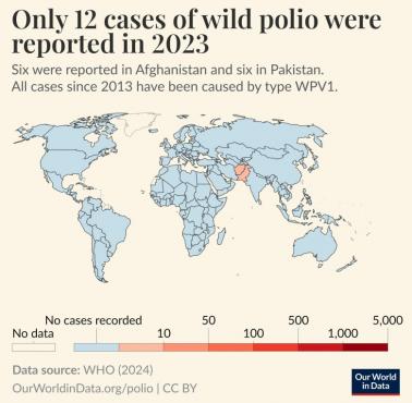 Tylko 12 przypadków (Afganistan, Pakistan) polio odnotowano w 2023 r.
