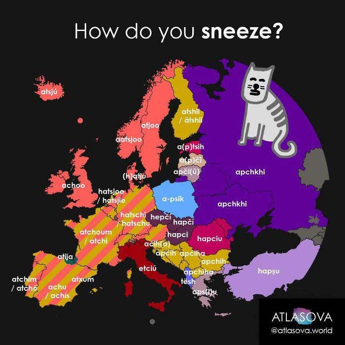 Jak człowiek kicha w różnych europejskich językach? (kichnięcie)