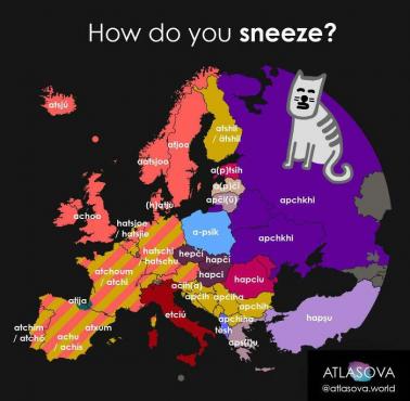 Jak człowiek kicha w różnych europejskich językach? (kichnięcie)