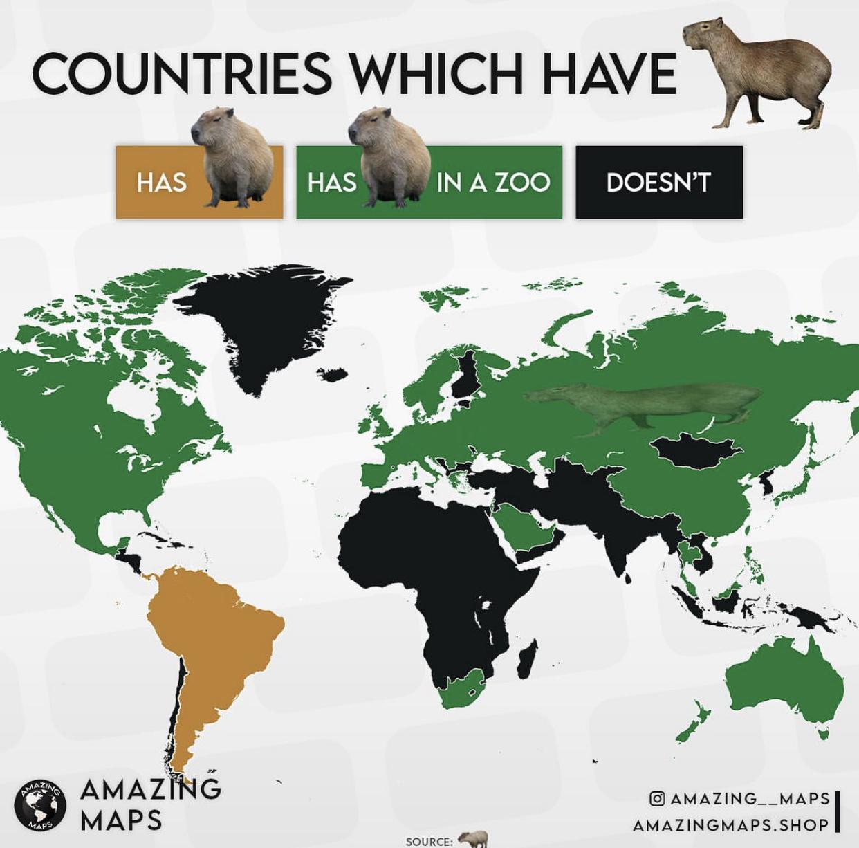 Występowanie kapibary na świecie (naturalne siedliska, zoo)
