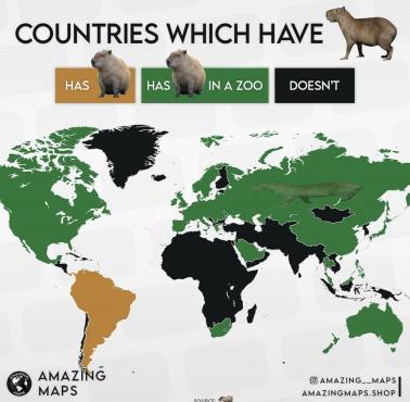 Występowanie kapibary na świecie (naturalne siedliska, zoo)