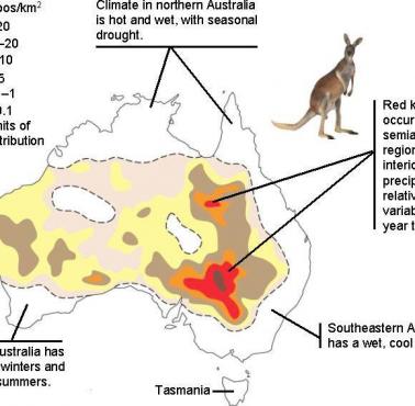 Zasięg występowania kangurów w Australii