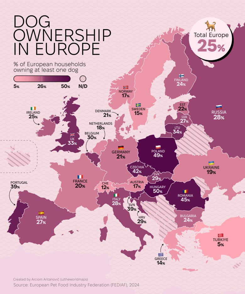 Popularność psów w Europie. Odsetek gospodarstw domowych posiadających psa, 2024