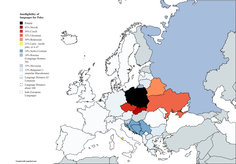 Pokrewieństwo między językiem polskim, a niektórymi językami słowiańskimi (zrozumiałość języka polskiego)