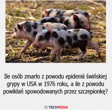 Ile osób zmarło z powodu epidemii świńskiej grypy w USA w 1976 roku, a ile z powodu powikłań spowodowanych przez szczepionkę?