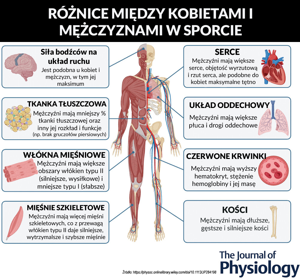 Różnice biologiczne między mężczyznami i kobietami