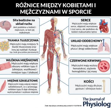 Różnice biologiczne między mężczyznami i kobietami