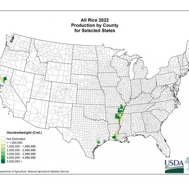 Produkcja ryżu w USA, 2022