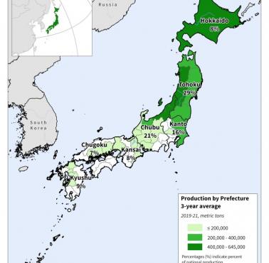 Produkcja ryżu w Japonii, 2019-2021