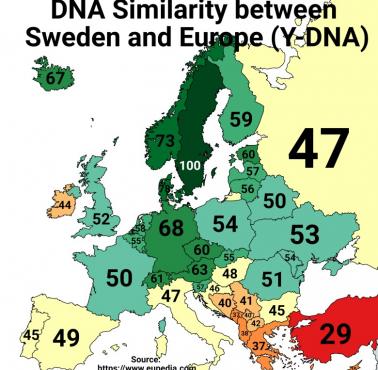 Podobieństwo Y-DNA między Szwedami a mieszkańcami pozostałych europejskich państw (w %)
