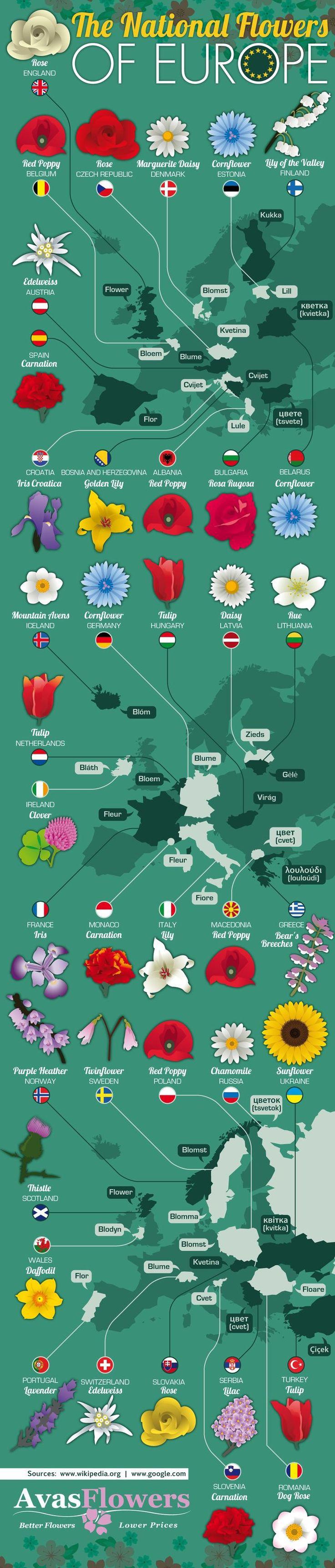 Kwiaty narodowe krajów europejskich