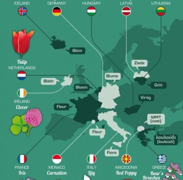 Kwiaty narodowe krajów europejskich