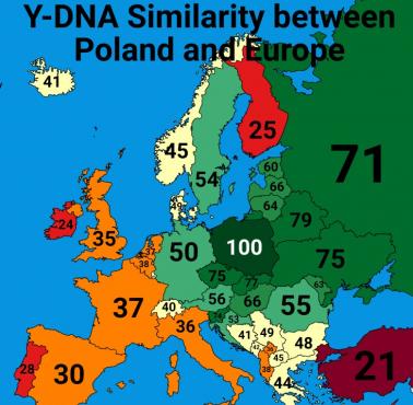Podobieństwo Y-DNA między Polakami a mieszkańcami pozostałych europejskich państw (w %)