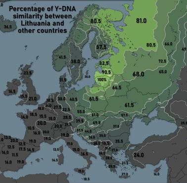 Podobieństwo Y-DNA między Litwinami a mieszkańcami pozostałych europejskich państw (w %)