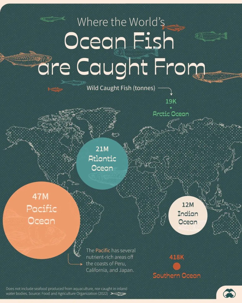 W których oceanach łowi się najwięcej ryb na świecie?, 2022