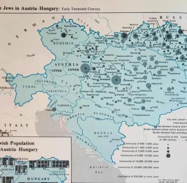 Żydzi w Austro-Węgrzech przed I wojną światową