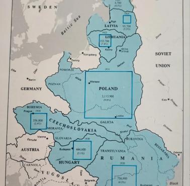 Żydzi w Europie Środkowo-wschodniej w okresie międzywojennym