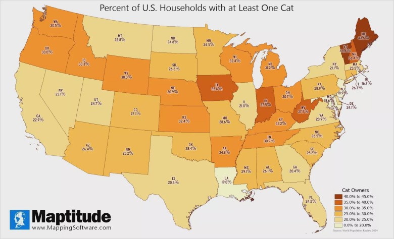 Popularność kotów w poszczególnych stanach USA, 2024